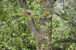 dsc_3831.jpg