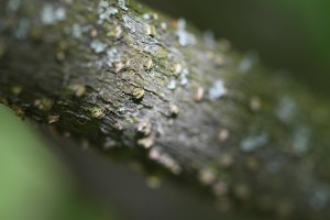 dsc_4095.jpg