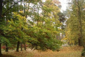 dsc01182.jpg