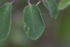 dsc_3898.jpg