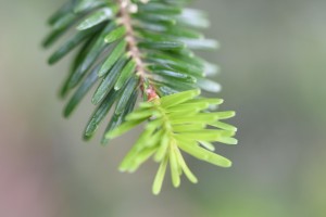 dsc_3917.jpg