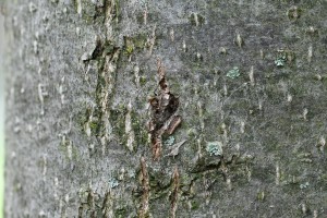 dsc_3858.jpg